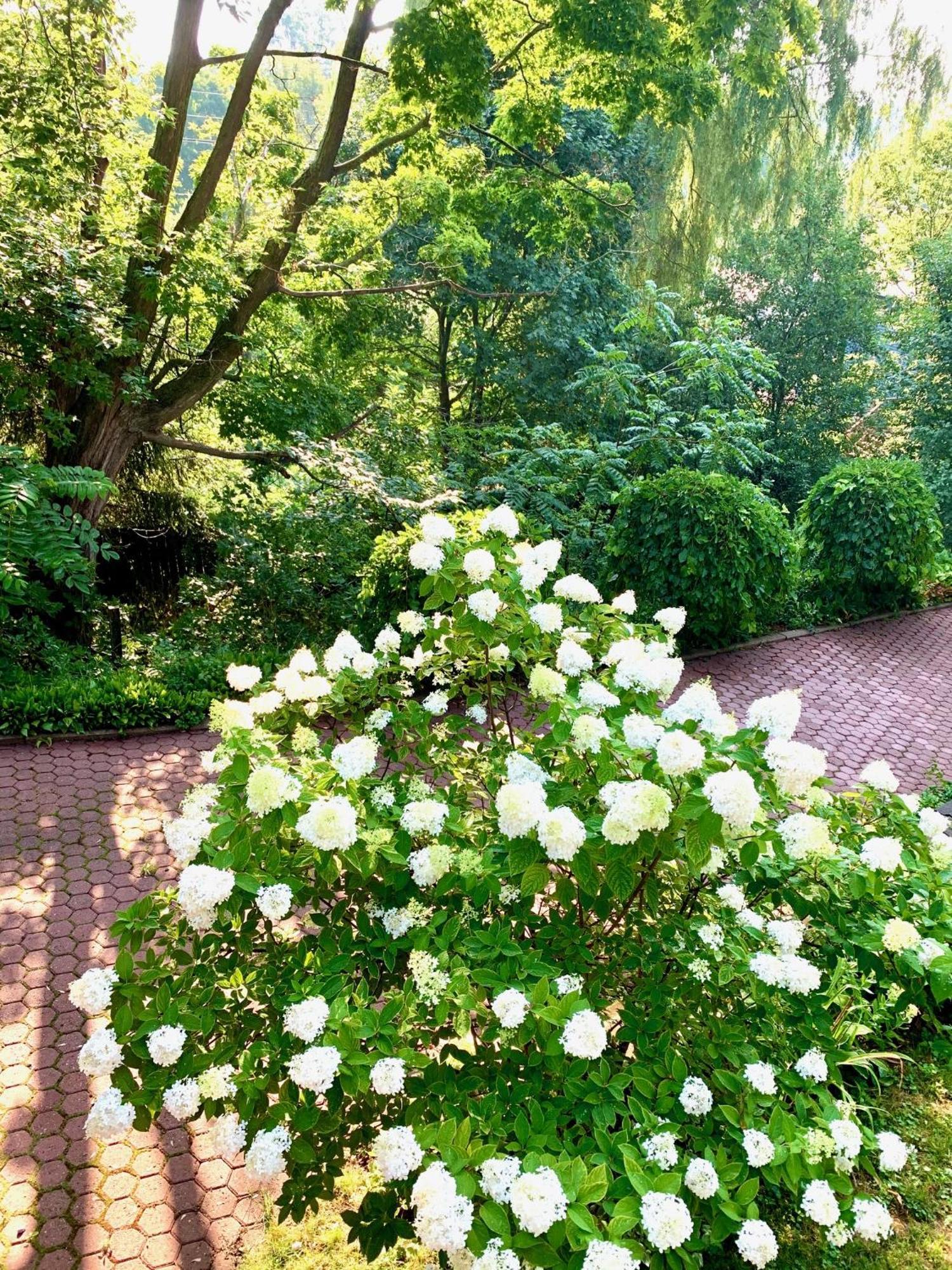 Plantation House Bed & Breakfast Port Hope Extérieur photo