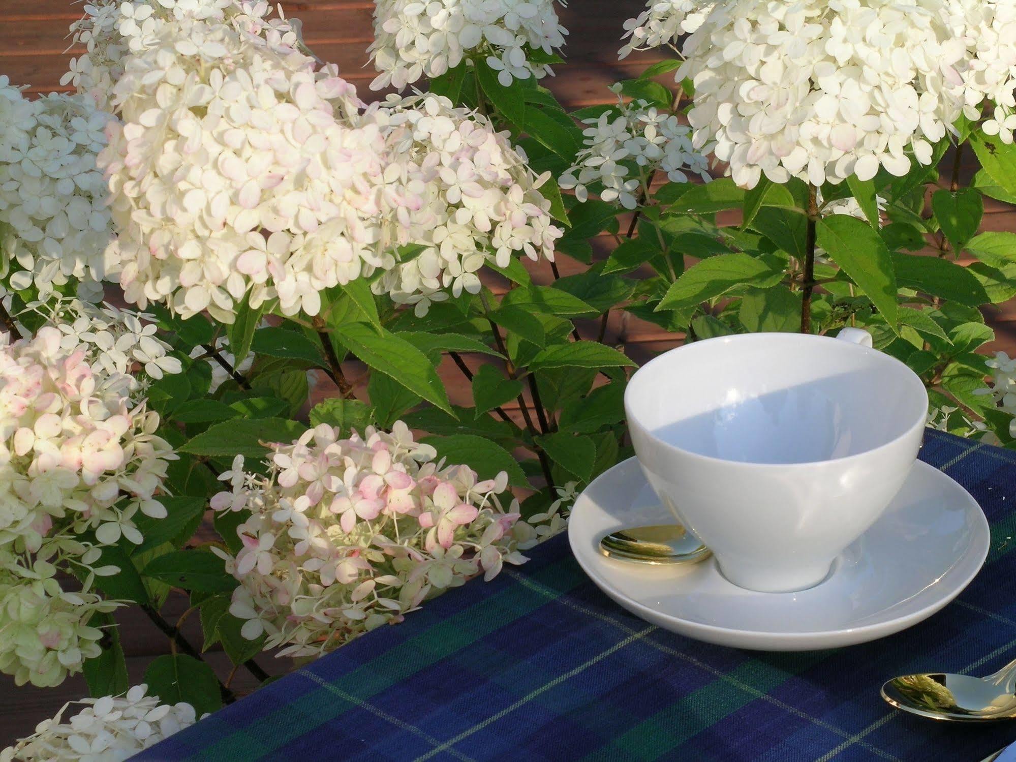 Plantation House Bed & Breakfast Port Hope Extérieur photo