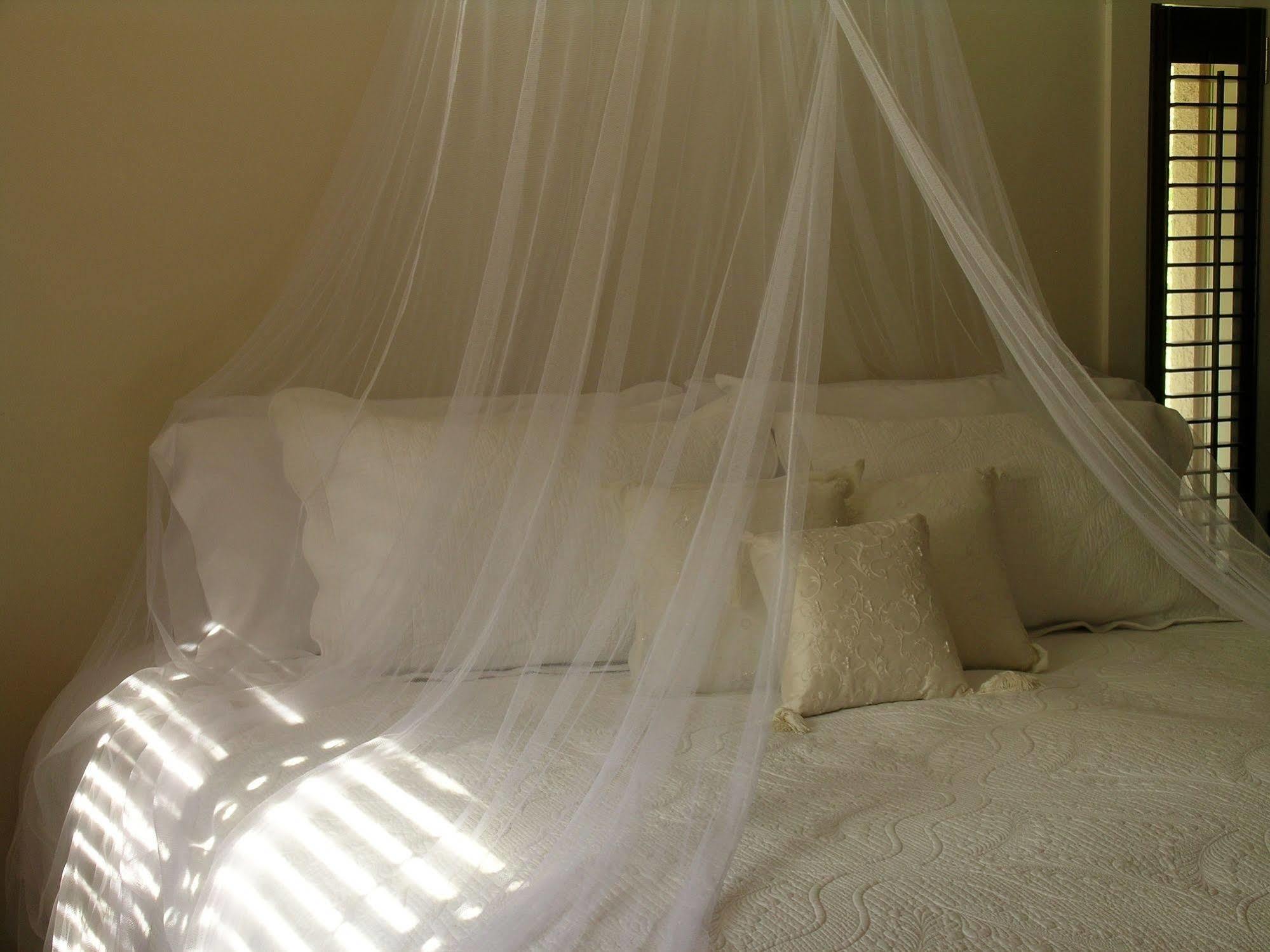 Plantation House Bed & Breakfast Port Hope Extérieur photo